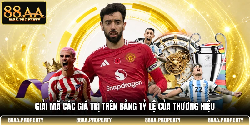 Giải mã các giá trị trên bảng tỷ lệ của thương hiệu