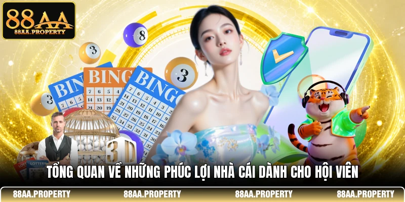 Tổng quan về những phúc lợi nhà cái dành cho hội viên